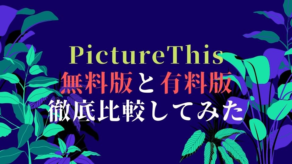 PictureThis_サムネイル