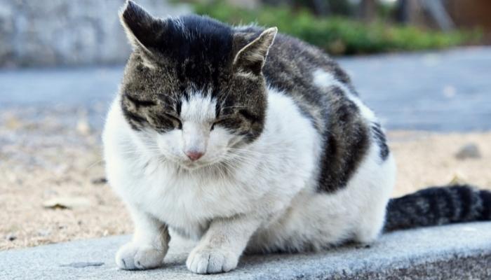 その後