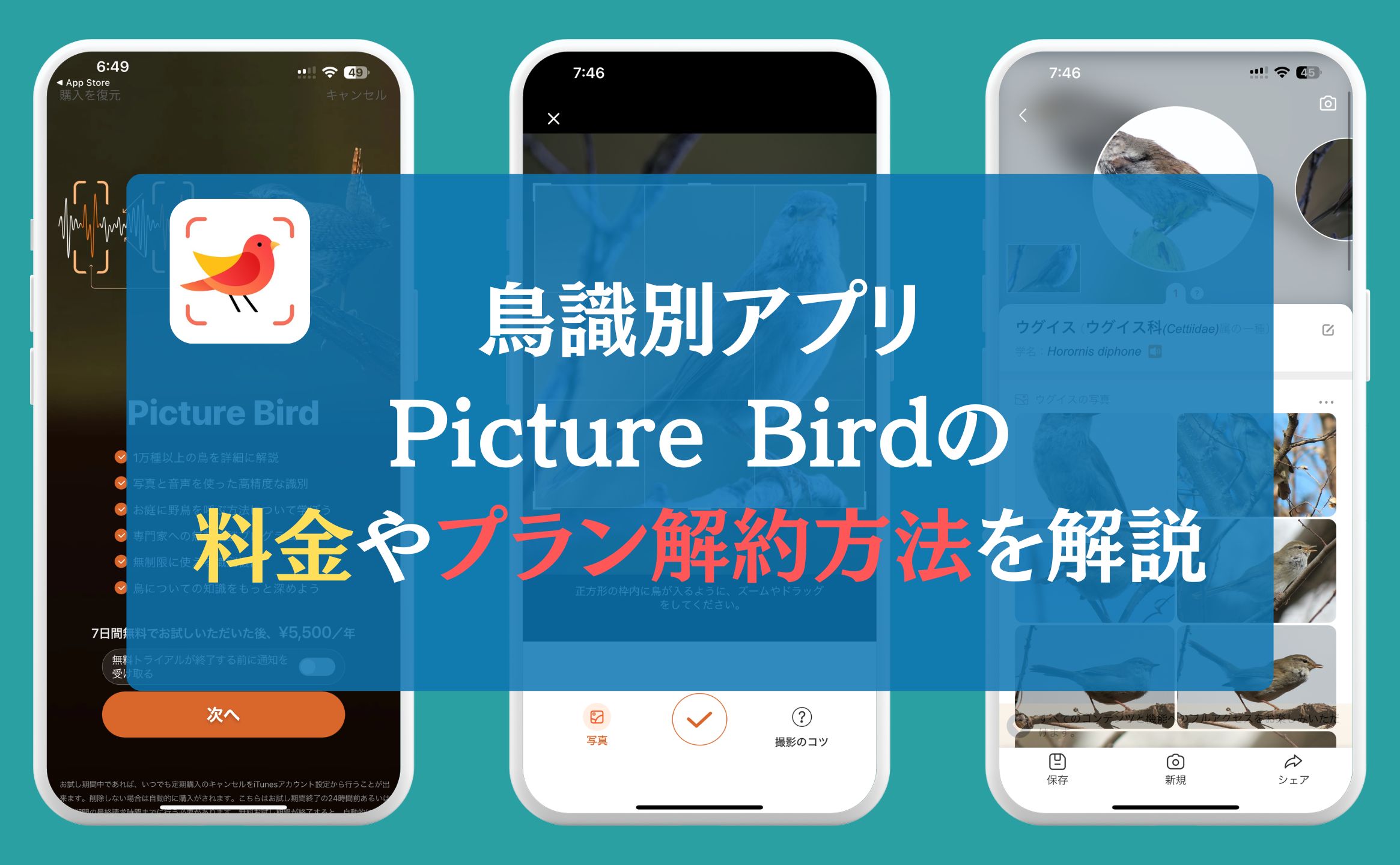 鳥識別アプリPicture Birdの料金やプラン解約方法を解説